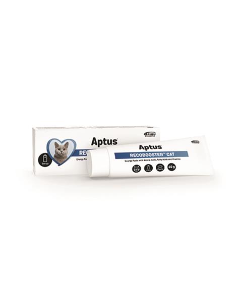 Aptus RECOBOOSTER CAT pasta na doplnenie viac energie pre mačky 60 g