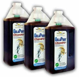 Gelapony Chondro Biosol sol. 2000 ml + DOPRAVA ZDARMA