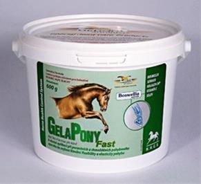 Gelapony Fast plv. 600 g