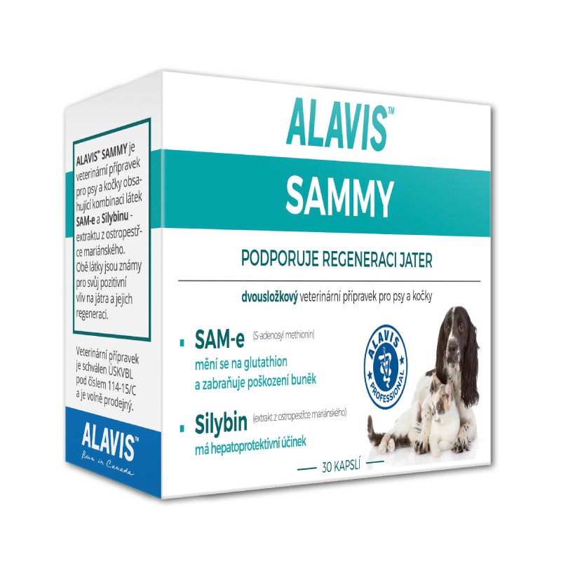 ALAVIS Sammy prípravok na podporu regenerácie pečene pre psy a mačky 30 tbl.
